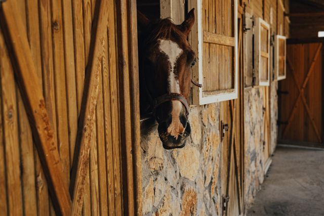 Bouw paardenstal